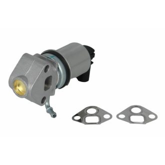 Seat Leon 1.4i/1.6i 16V EGR szelep, 75/105le